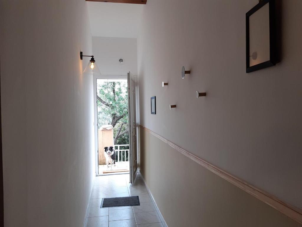 A Casa Di Paulina Apartment Serra-di-Ferro  Exterior photo